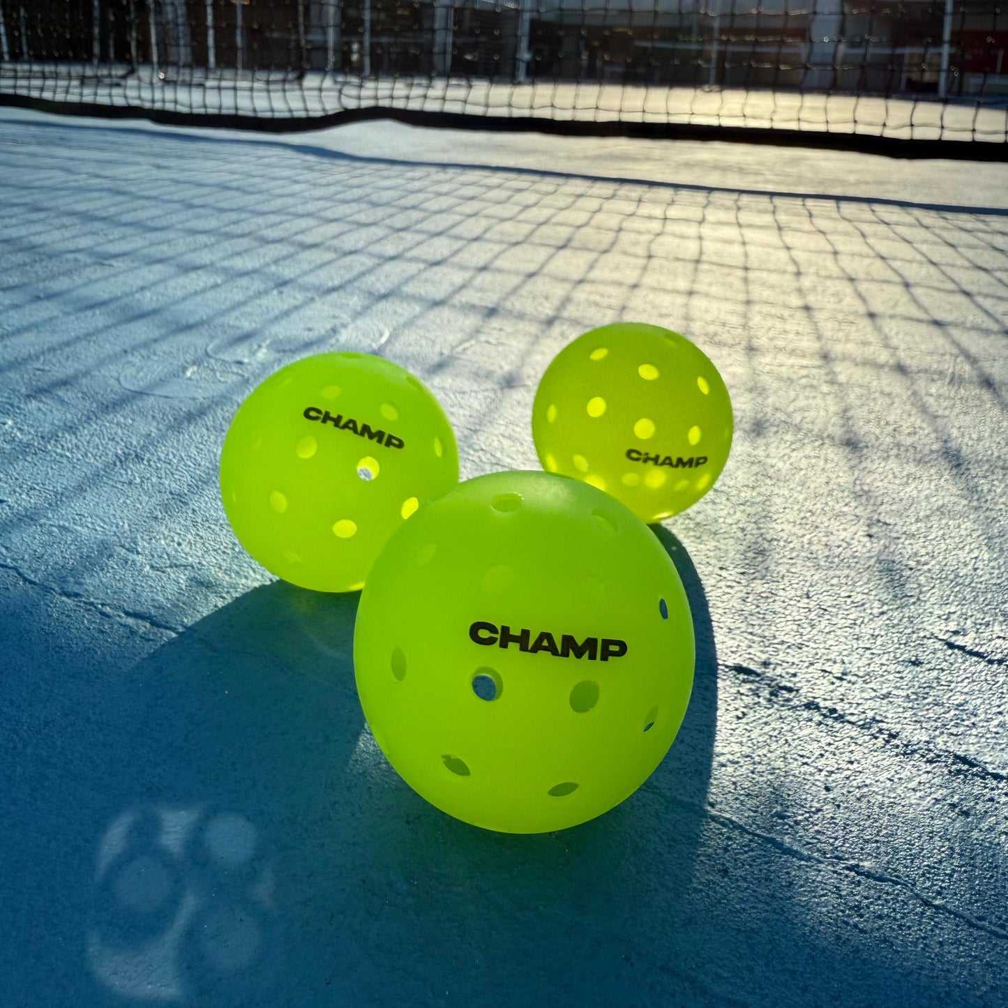 Champ Official Pickleball Ball Set